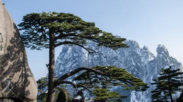 來黃山旅游有什么地方需要注意？