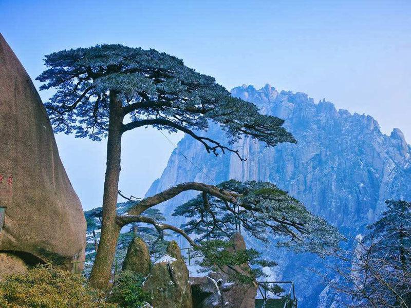 黃山西遞宏村千島湖三日游